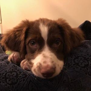 Meet your Posher, Kerry